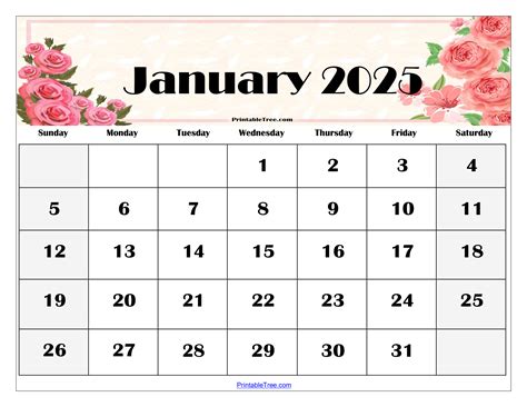 Scoro 2025 Free Online Version