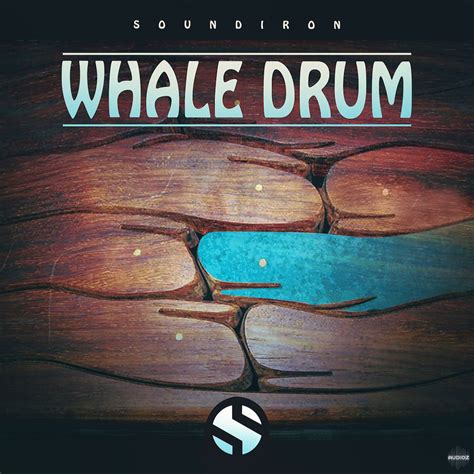 Soundiron 2025 Download With Crack