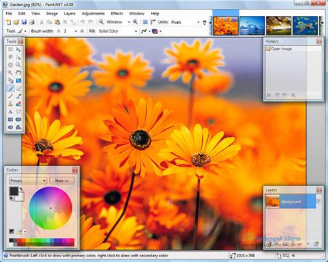 Paint.NET Plus 5.0 Download Links
